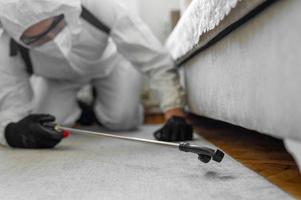 Professional Termite Control technician working in Brookfield, MO