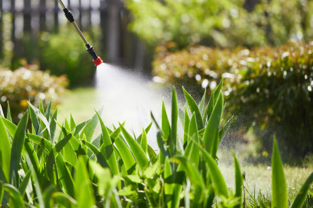 24/7 Emergency Termite Control experts in Brookfield, MO