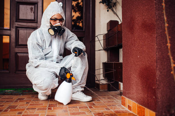 Reliable Termite Control contractor in Brookfield, MO by Nex Pest Control